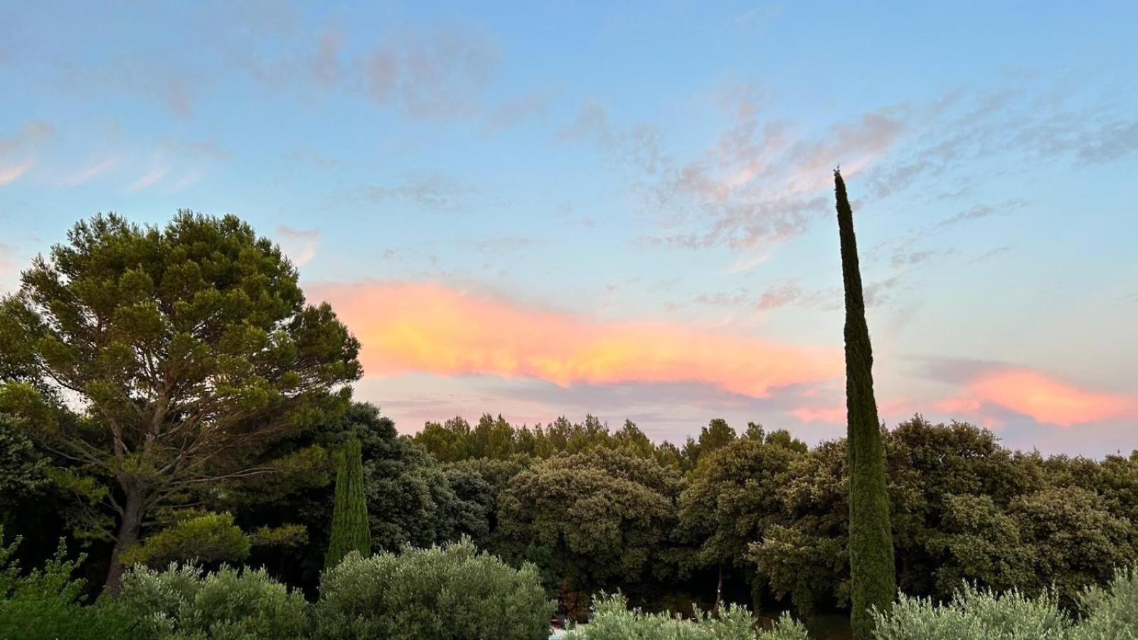 Hotel Domaine Colibri En Provence Pujaut Esterno foto